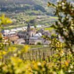 Traumschleife Palmberg Ahn